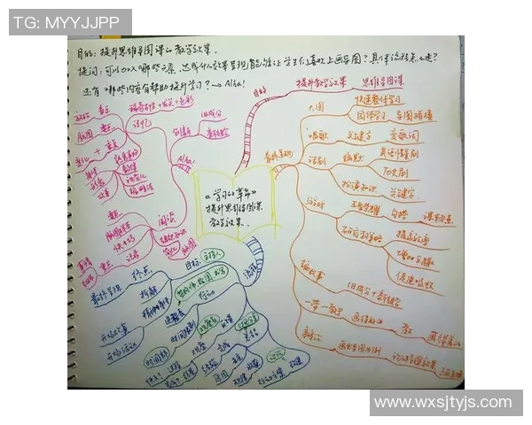 飞盘与梦想的交汇点:杨丽的深度对话与人生启示 飞盘与梦想的交汇点:杨丽的深度对话与人生启示