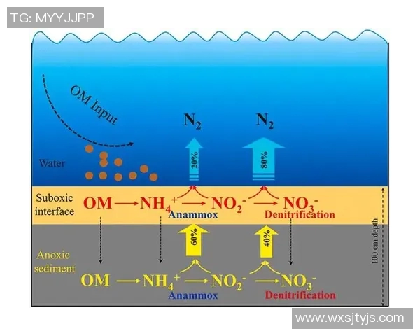广州网球队与南京网球队赛后分析意识碰撞的深度探讨