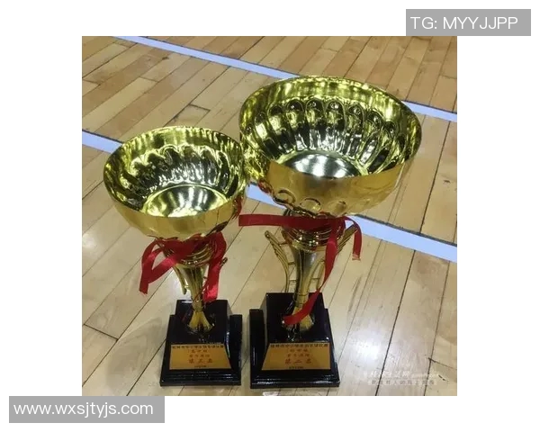 西安羽毛球队近期状态分析与未来发展方向探讨 西安羽毛球队近期状态分析与未来发展方向探讨